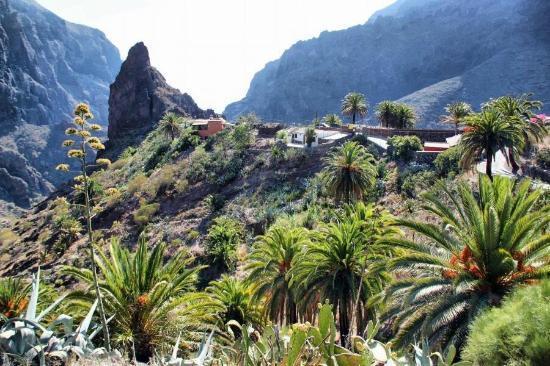 Marody Tenerife House El Médano Kültér fotó